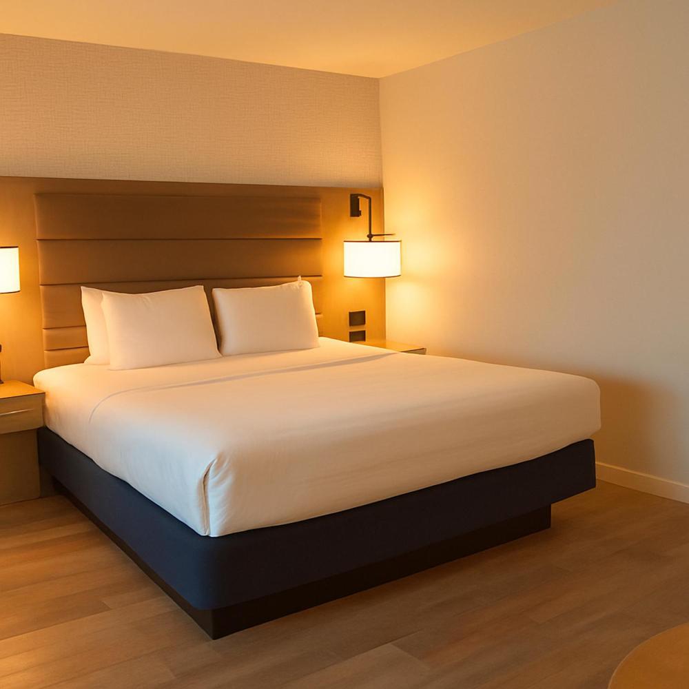 Deluxe King Room interior